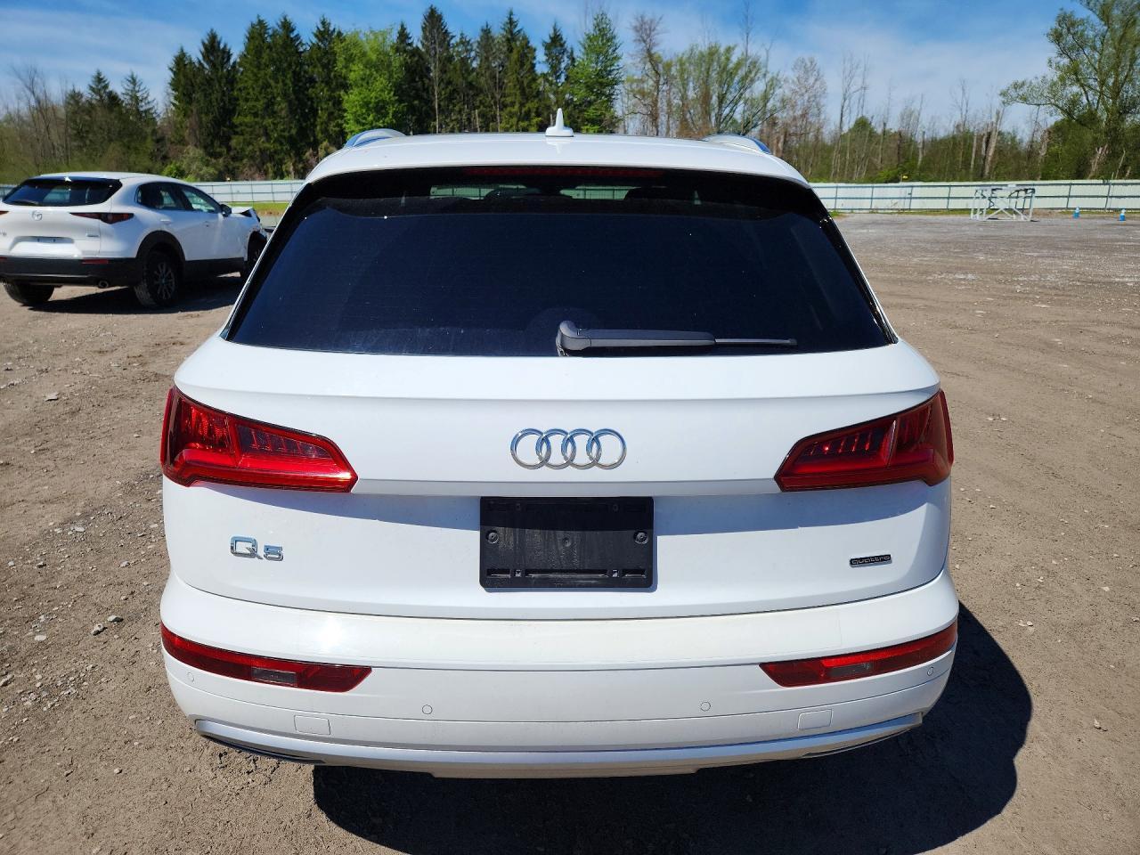 2019 Audi Q5 Premium Plus - Фото 6