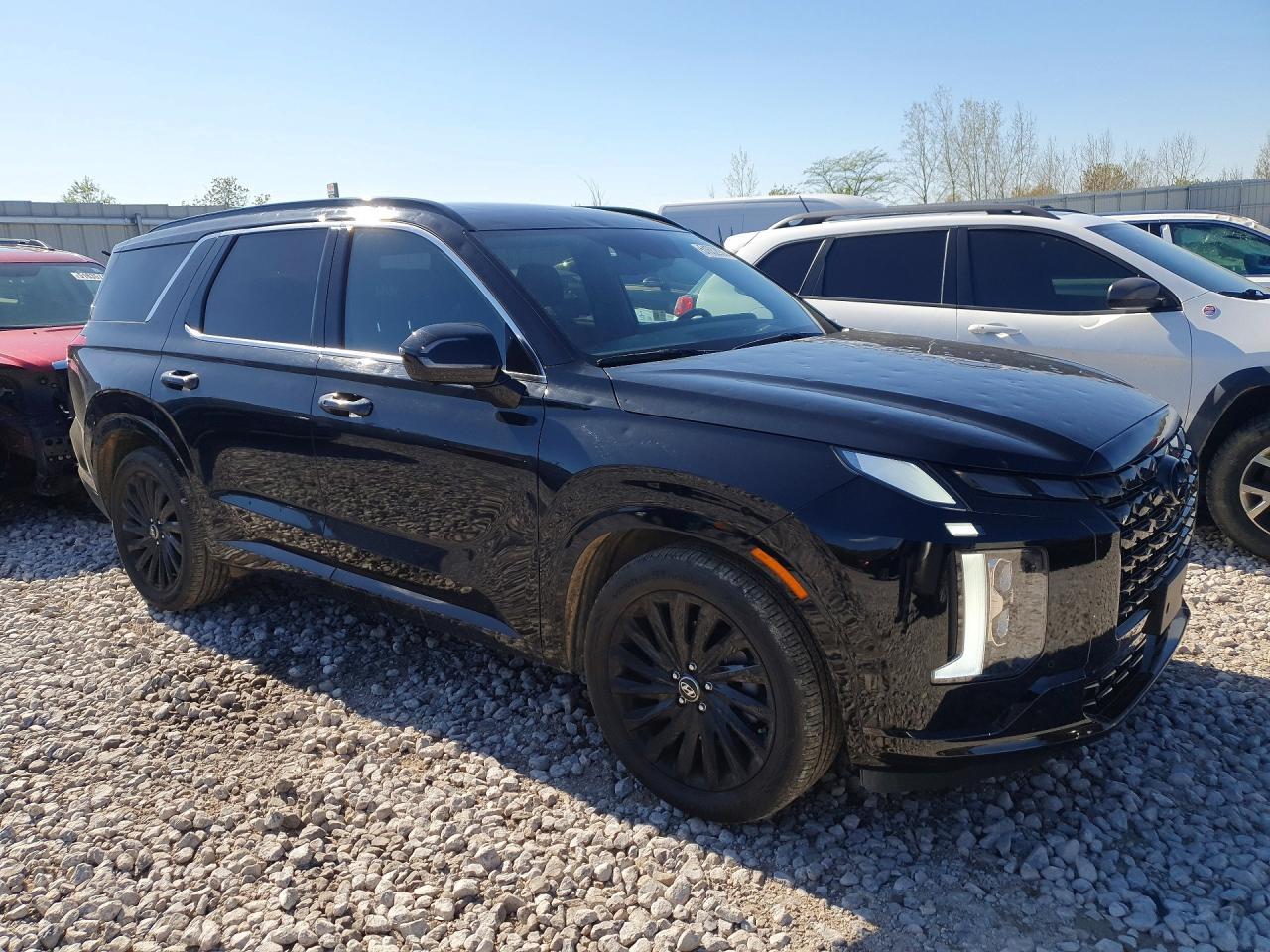 2024 Hyundai Palisade Calligraphy Night Edition - Фото 4