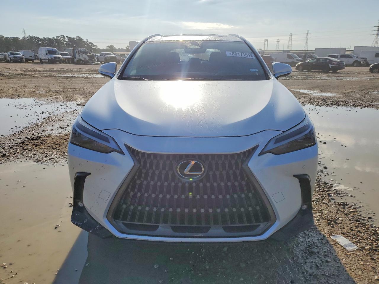 2025 Lexus Nx - Image 5
