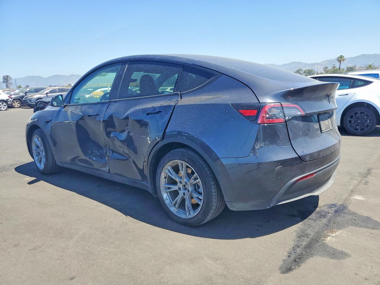 2024 Tesla Model Y - Фото 2