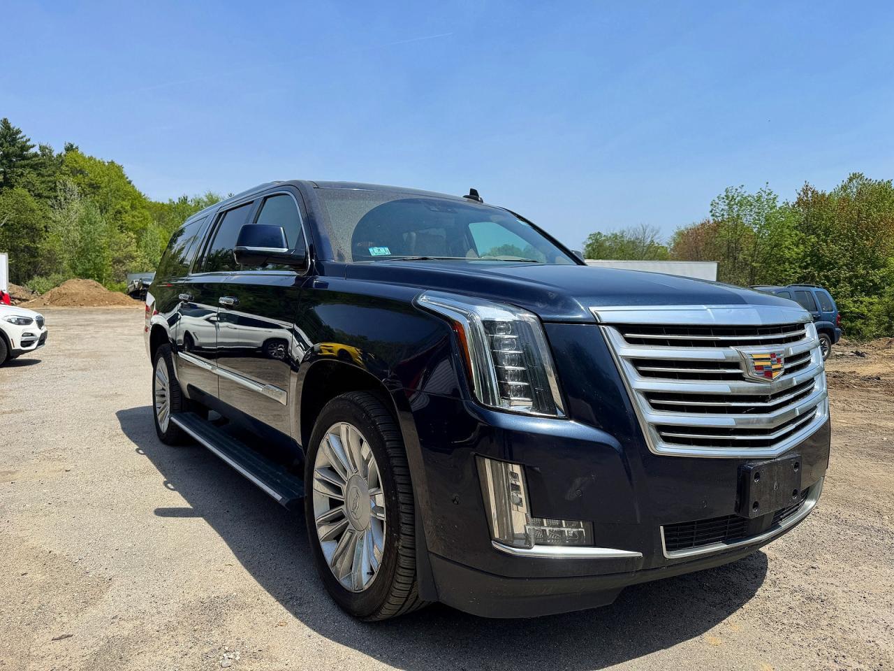2019 Cadillac Escalade Esv Platinum