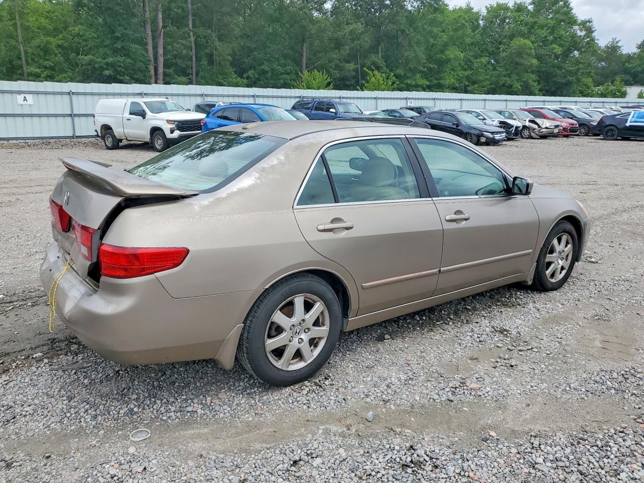 2005 Honda Accord Ex - Фото 3