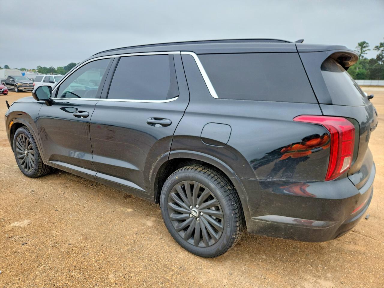 2025 Hyundai Palisade Calligraphy Night Edition - Фото 2