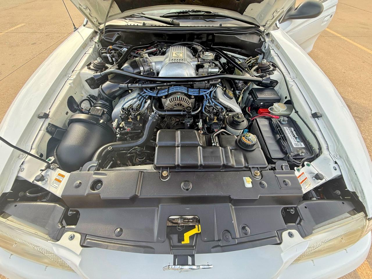 1997 Ford Mustang Cobra - Image 7