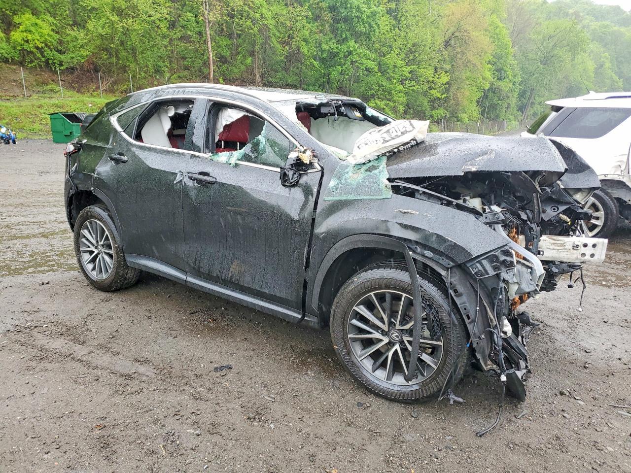 2025 Lexus Nx 350 Premium - Фото 4