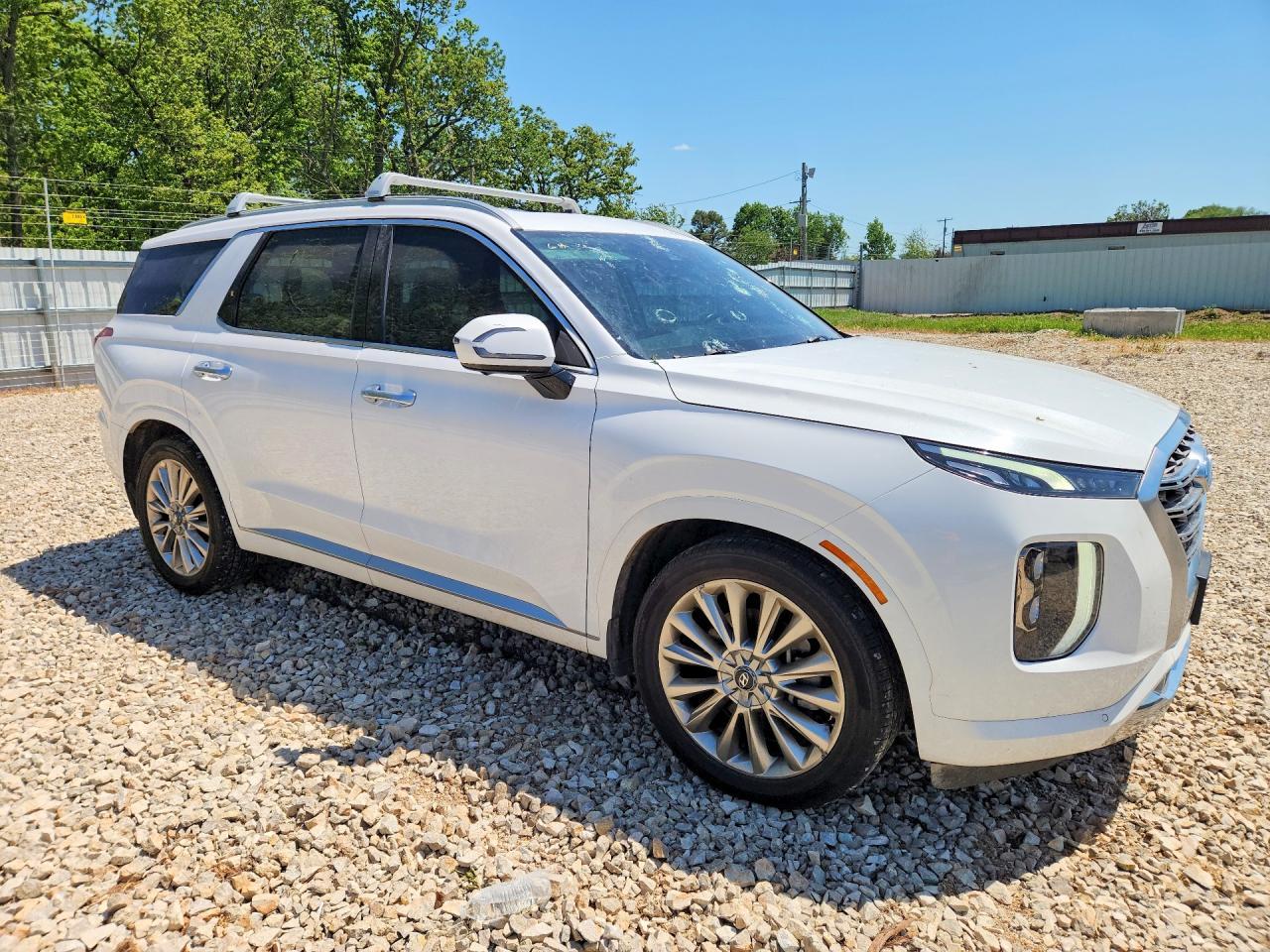 2020 Hyundai Palisade Limited - Фото 4