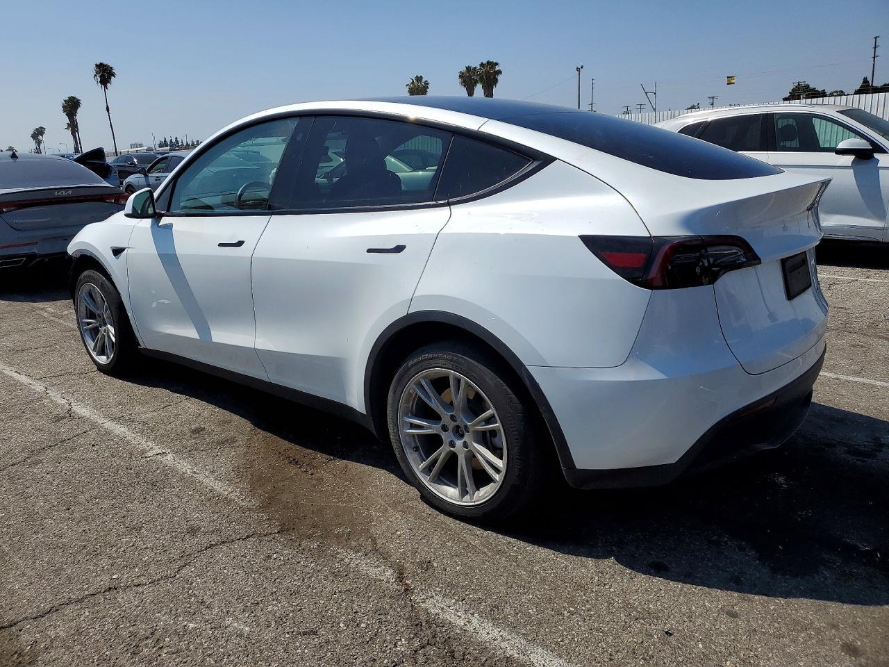 2023 Tesla Model Y - Фото 2