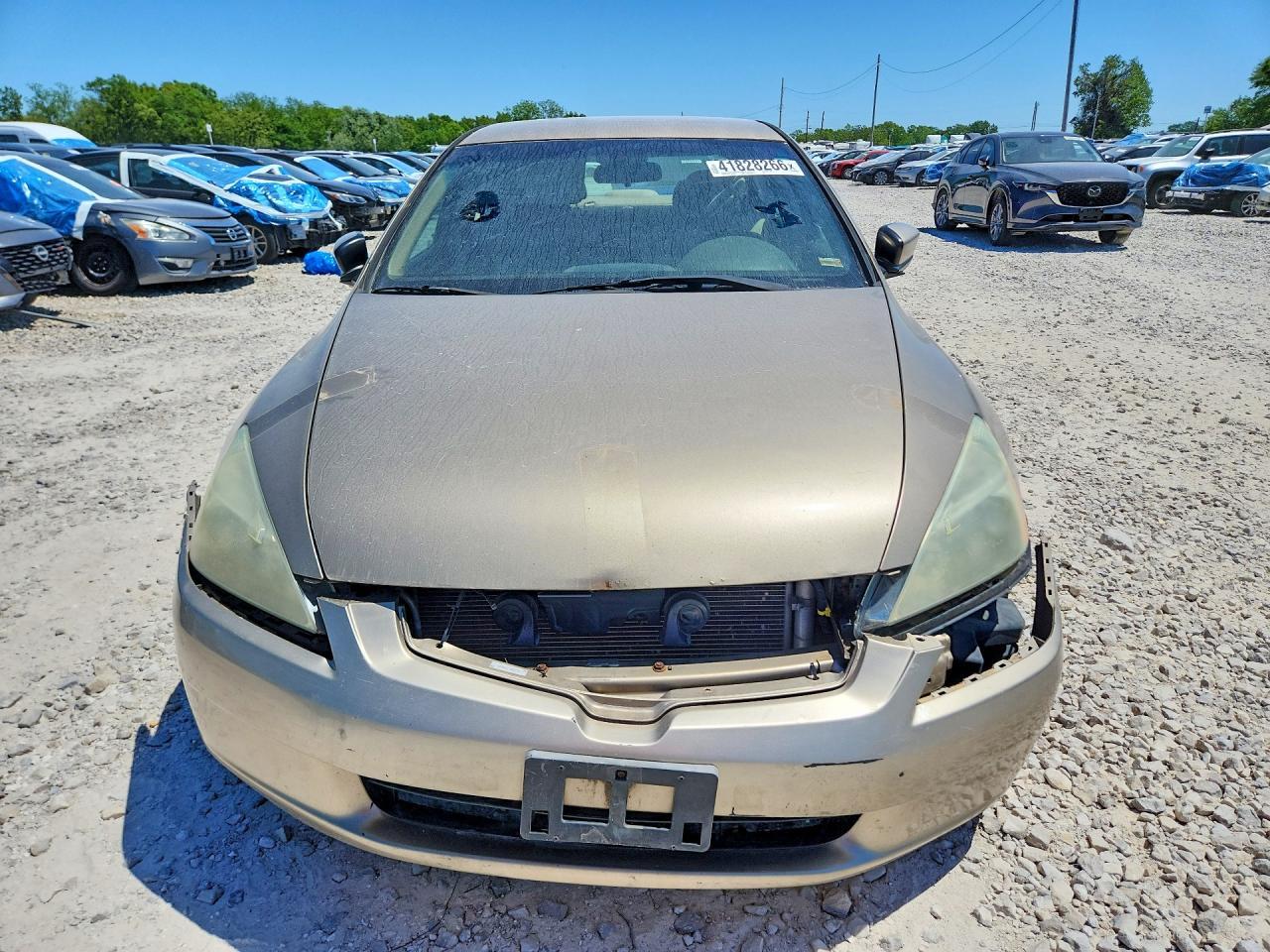 2003 Honda Accord Lx - Image 5