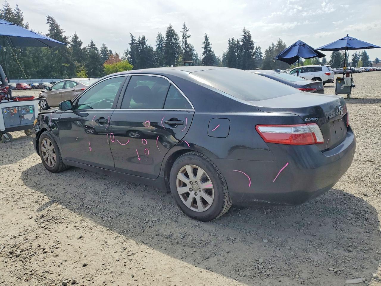 2009 Toyota Camry Hybrid - Фото 2