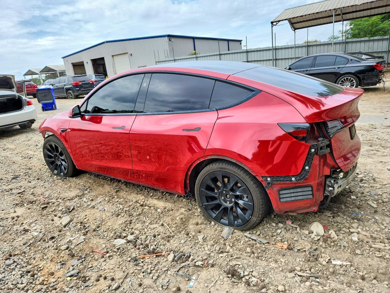 2023 Tesla Model Y - Фото 2