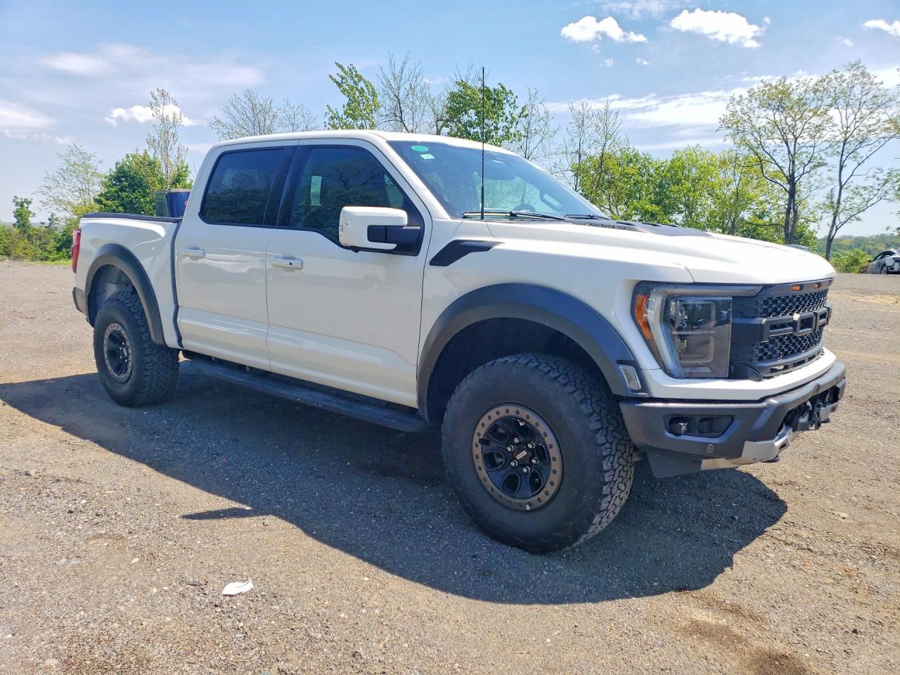 2023 Ford F150 Raptor - Image 4