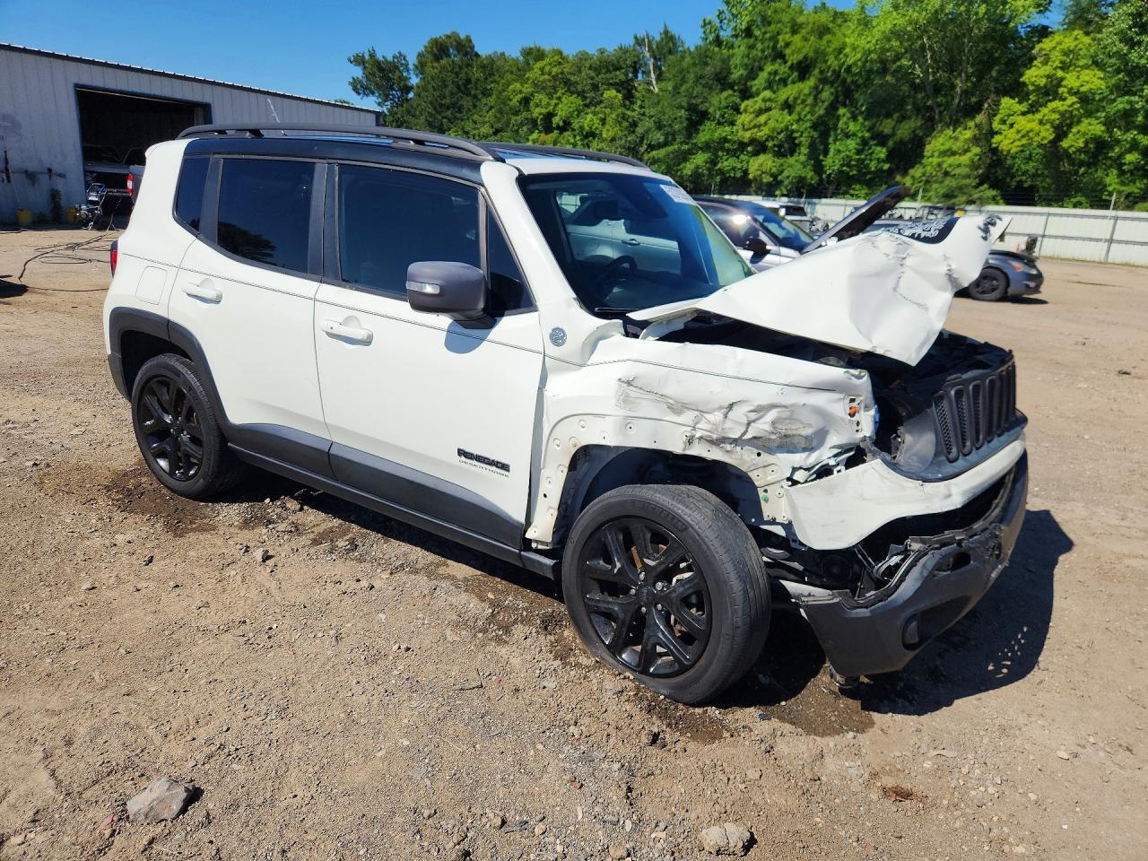 2017 Jeep Renegade Trailhawk - Фото 4