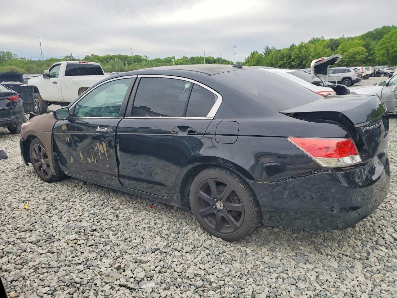 2009 Honda Accord Exl - Фото 2