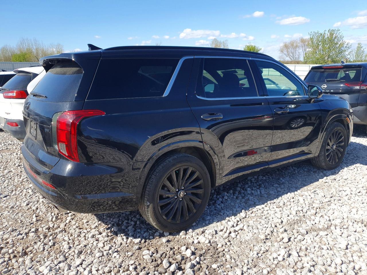 2024 Hyundai Palisade Calligraphy Night Edition - Фото 3