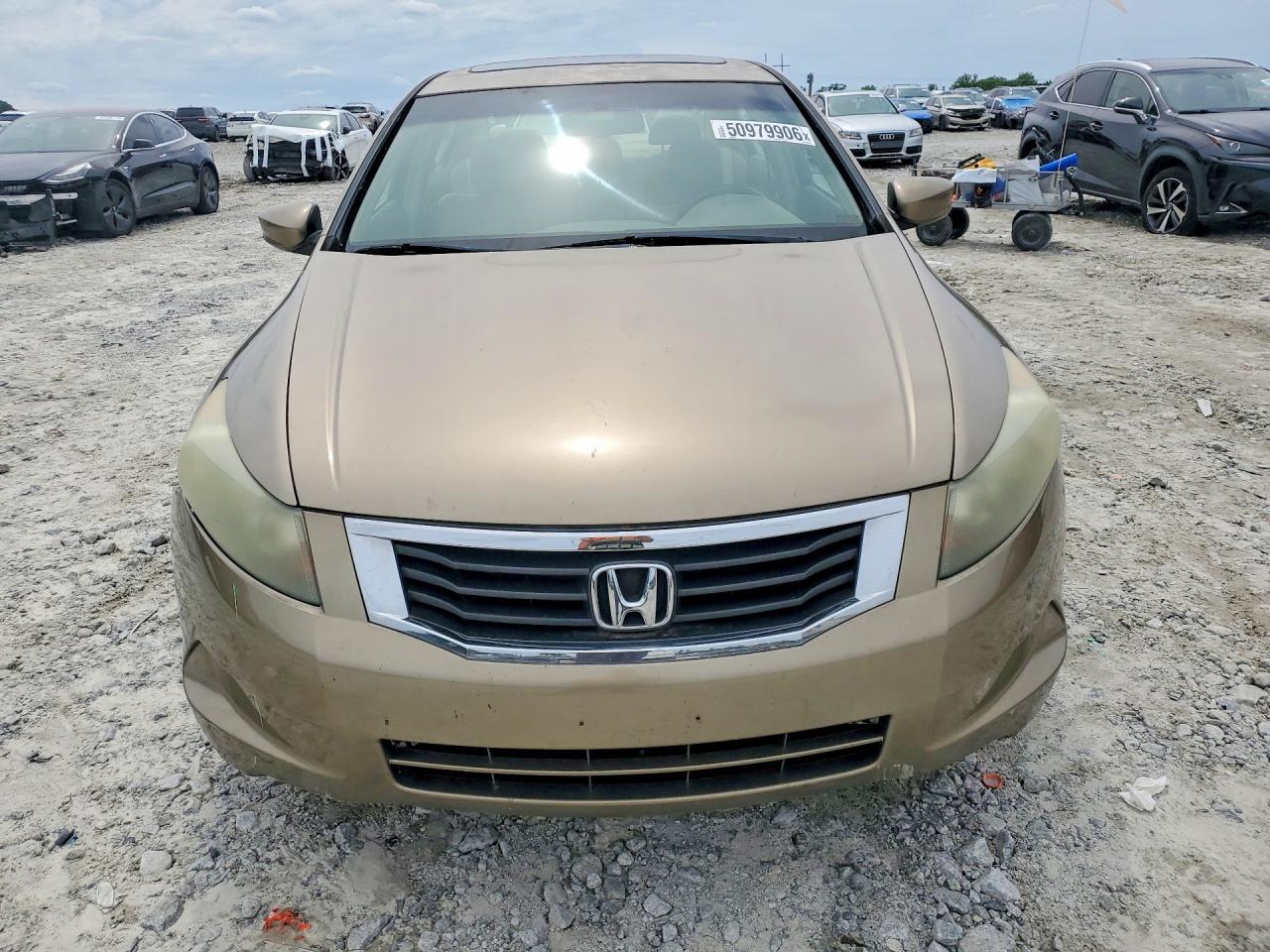 2008 Honda Accord Exl - Фото 5