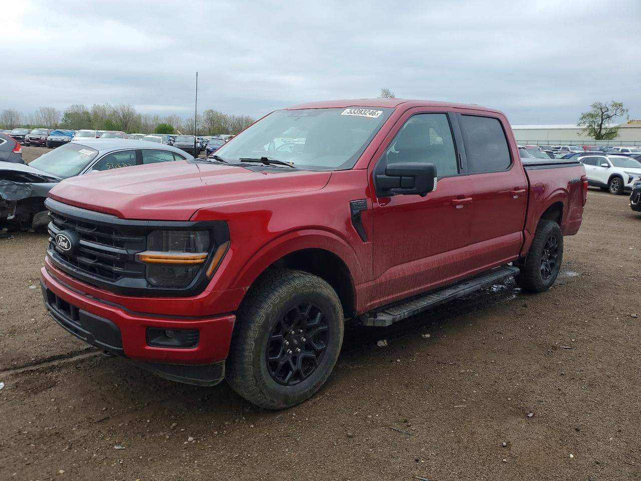 2024 Ford F150 Xlt