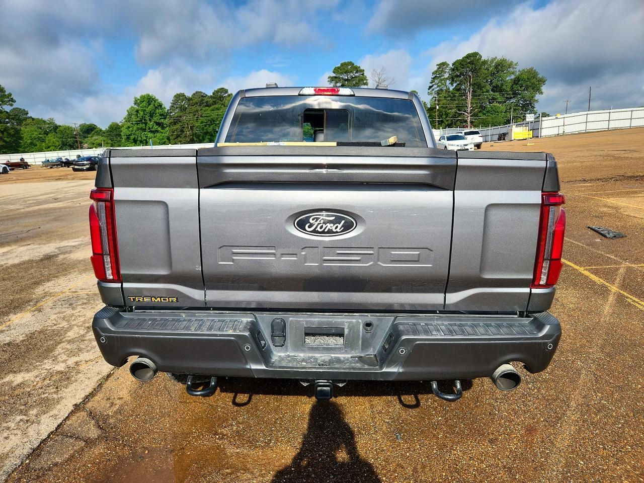 2025 Ford F150 Tremor - Image 6