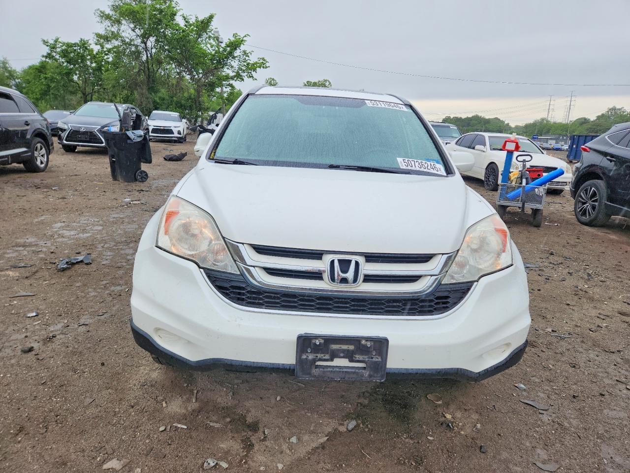2010 Honda Cr-V Exl - Image 5