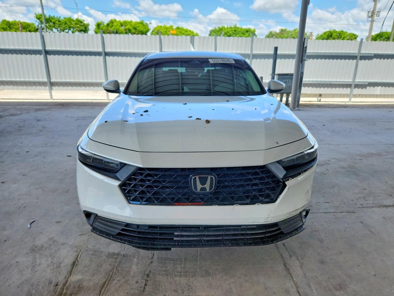 2024 Honda Accord - Image 5