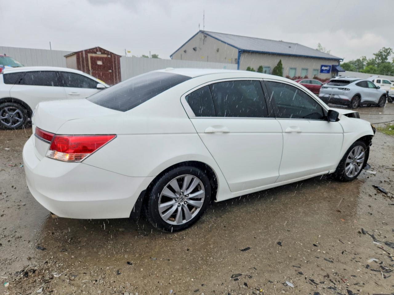 2011 Honda Accord Exl - Фото 3