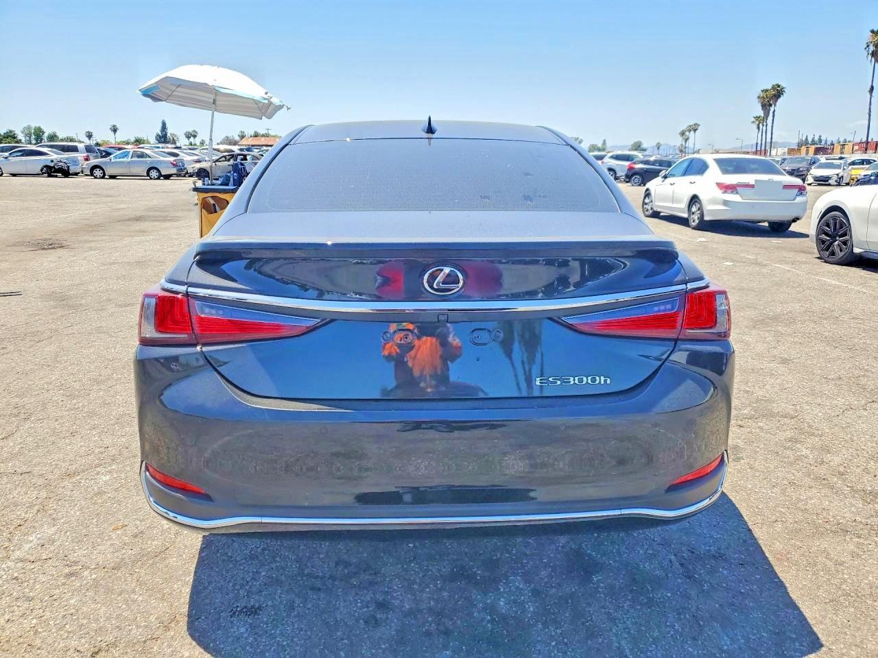 2024 Lexus Es 300H Base - Фото 6
