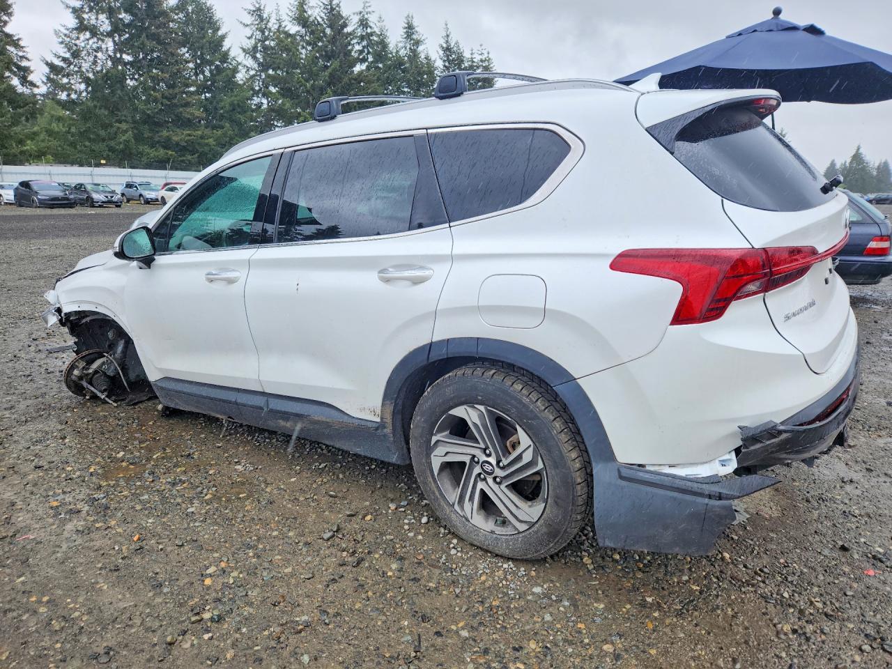 2023 Hyundai Santa Fe Sel - Image 2