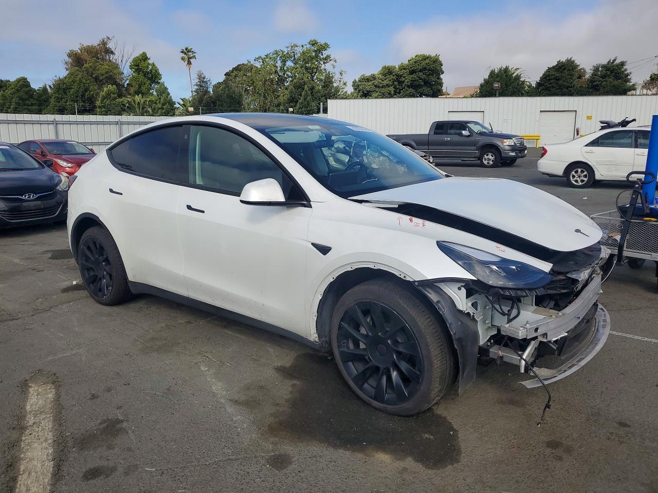 2023 Tesla Model Y - Фото 4