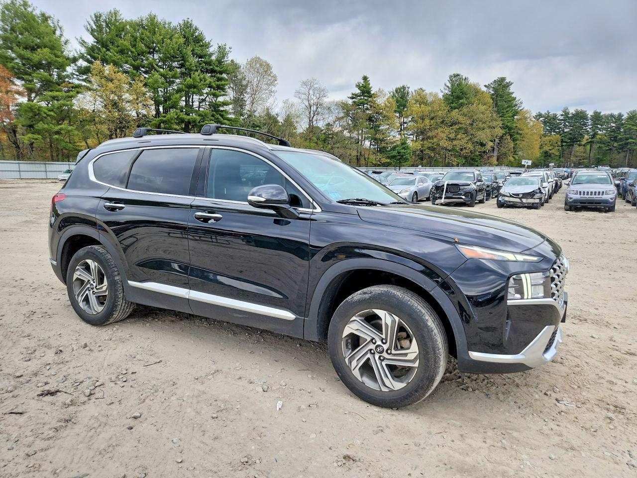 2023 Hyundai Santa Fe Sel Premium - Фото 4