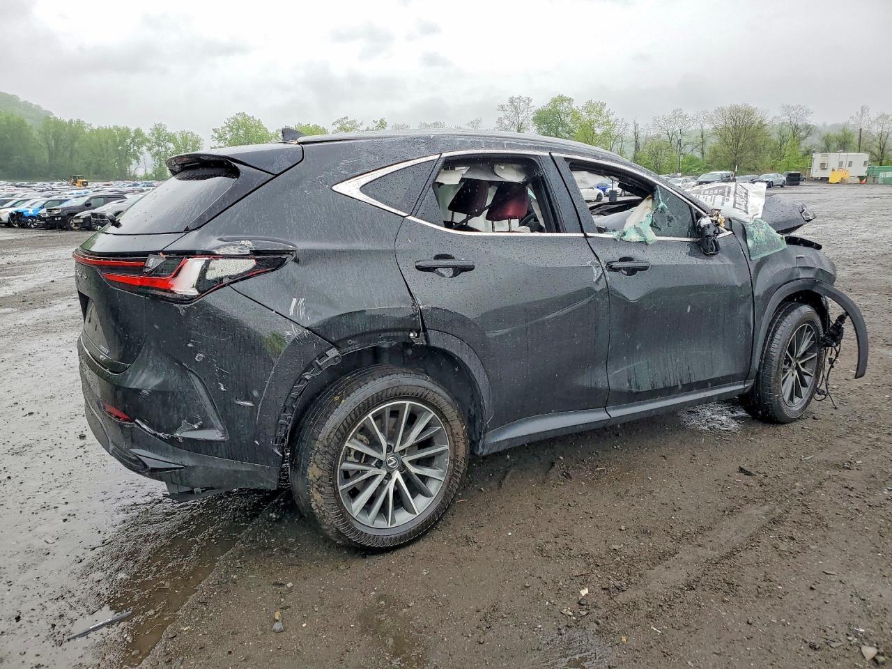 2025 Lexus Nx 350 Premium - Фото 3