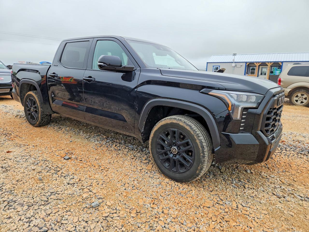 2024 Toyota Tundra Limited Hv - Фото 4