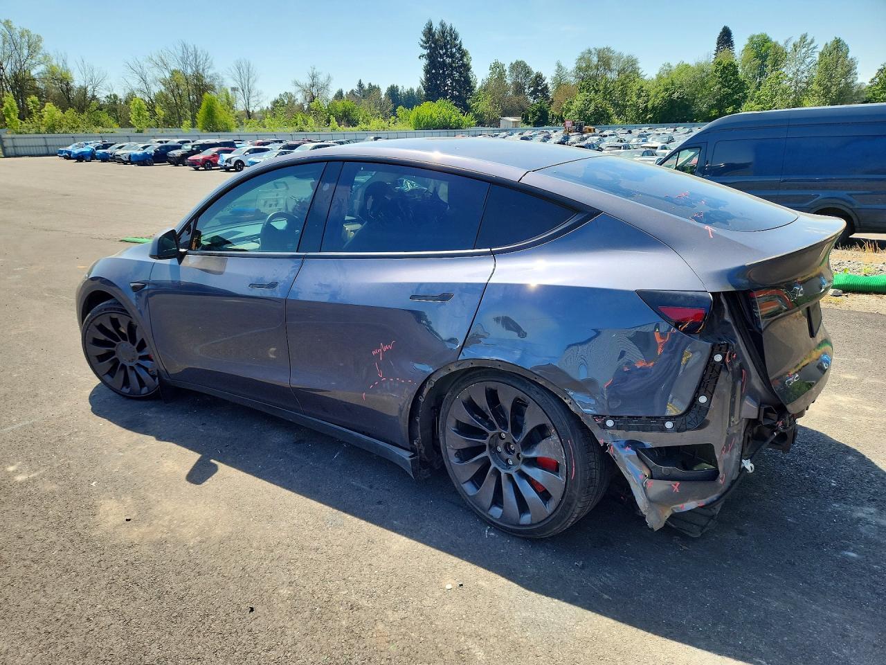 2023 Tesla Model Y - Фото 2