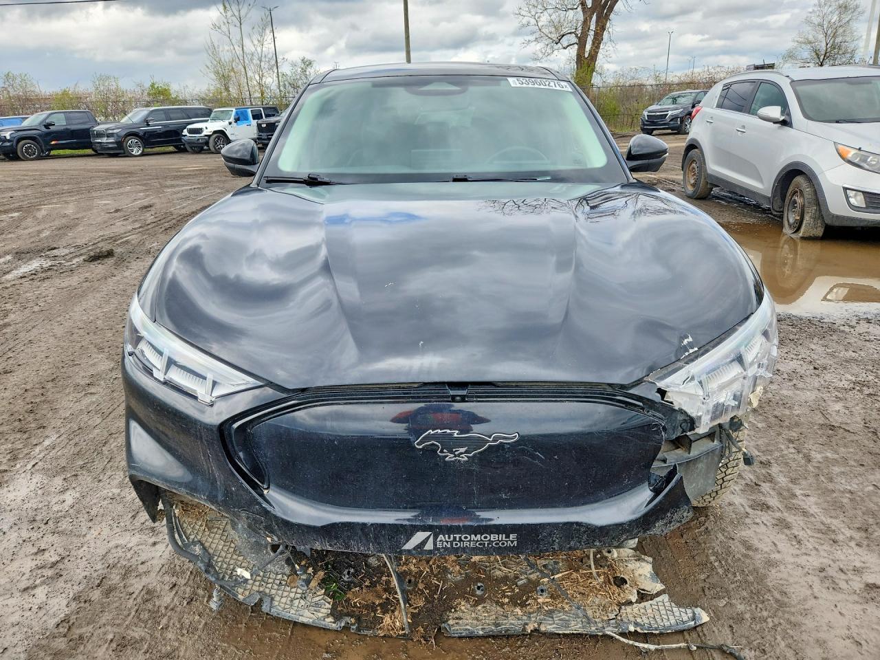 2021 Ford Mustang Mach-E Premium - Image 5