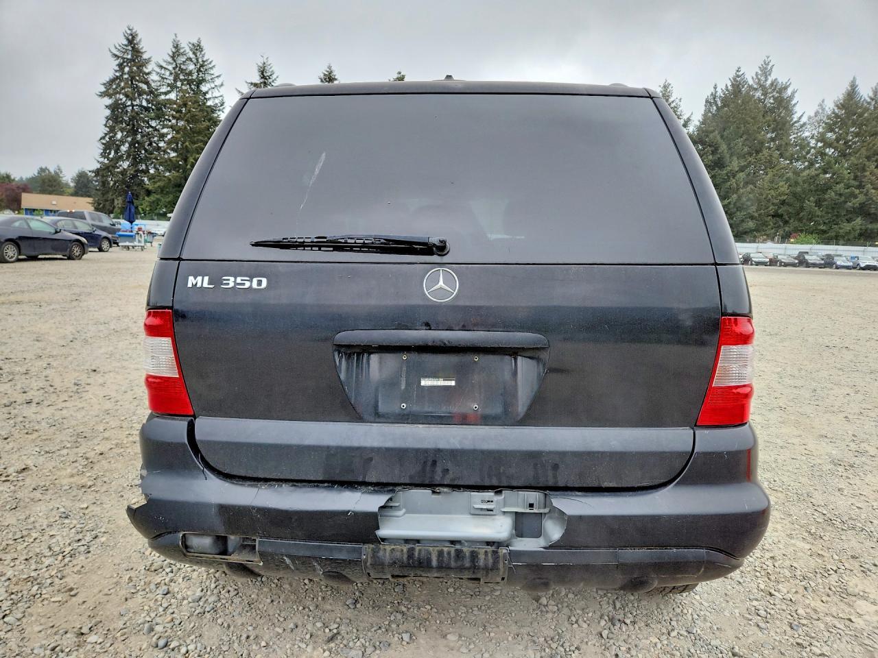 2004 Mercedes-Benz Ml 350 - Image 6