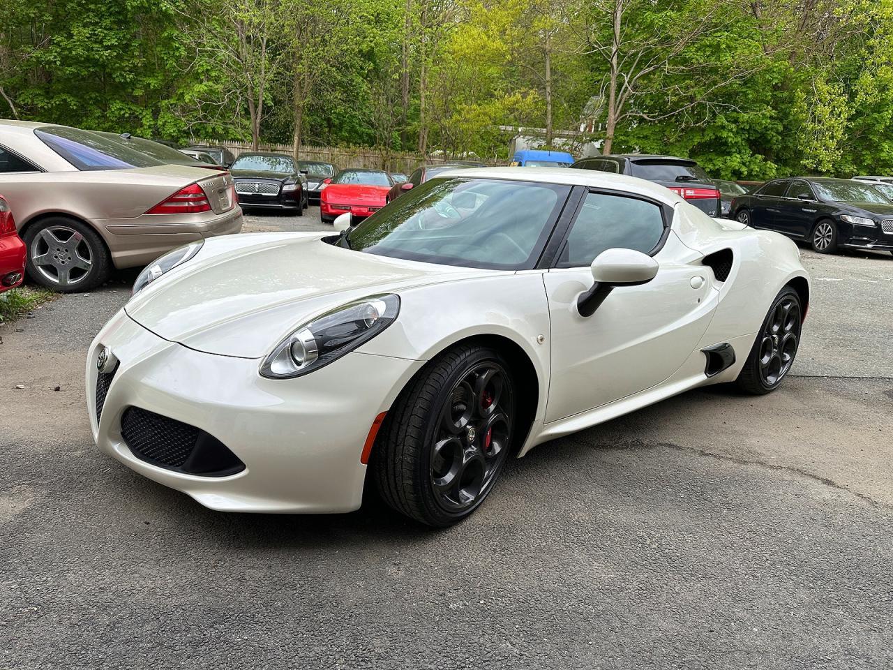 2016 Alfa Romeo 4C - Фото 2