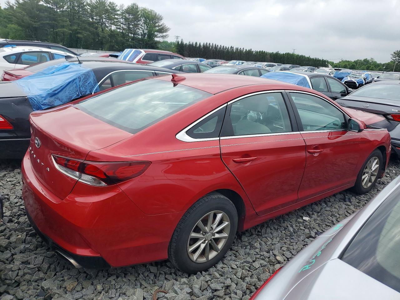 2019 Hyundai Sonata Se - Фото 3