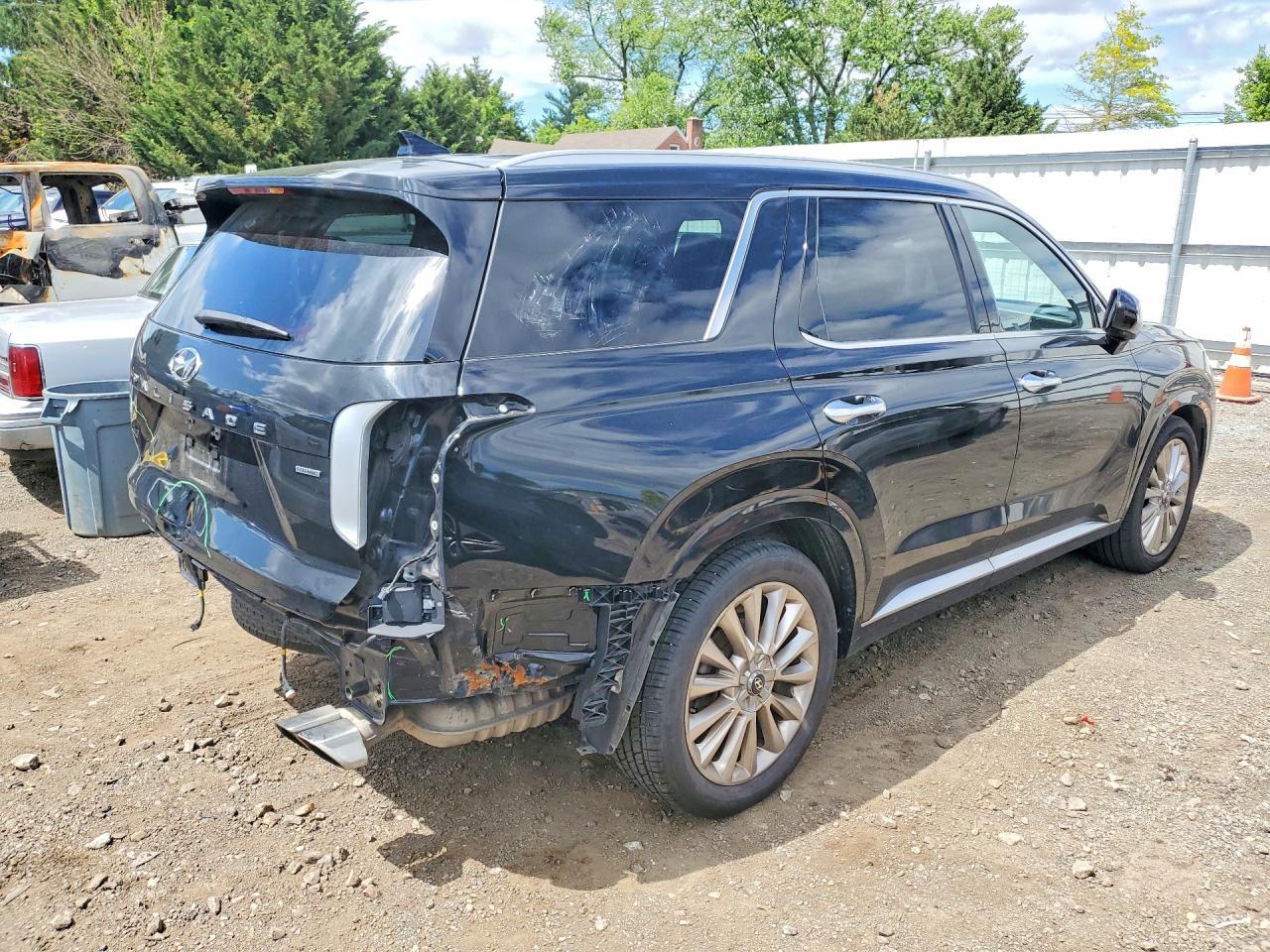 2020 Hyundai Palisade Limited - Фото 3