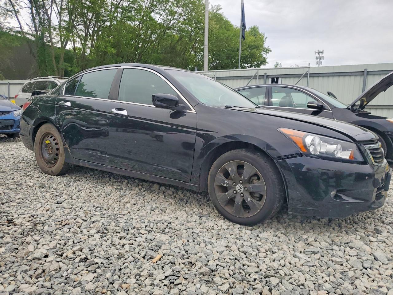 2009 Honda Accord Exl - Фото 4