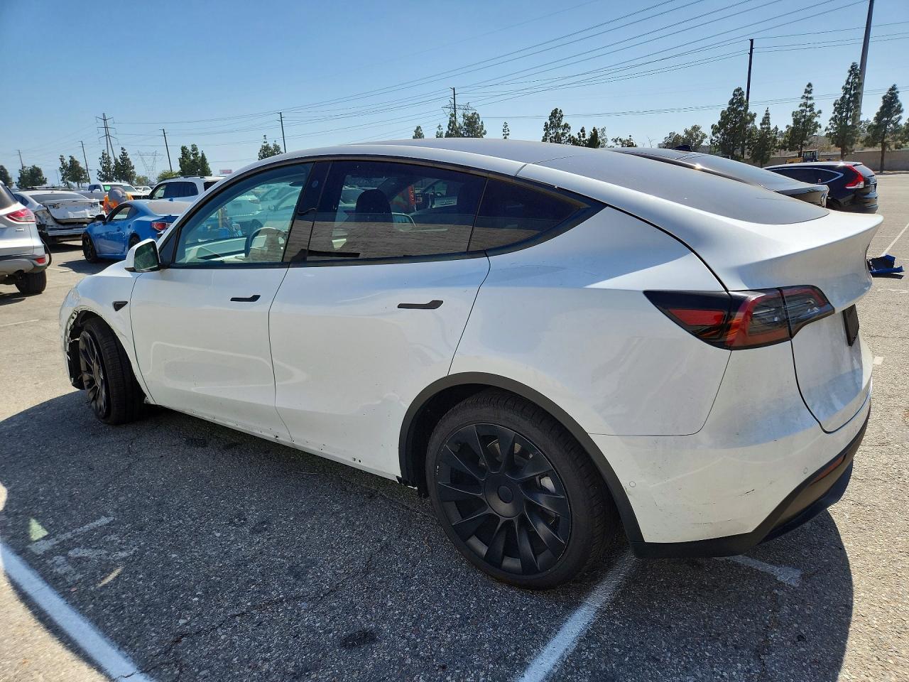 2022 Tesla Model Y - Фото 2