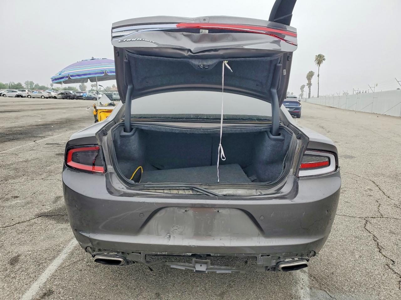 2020 Dodge Charger Sxt - Фото 6