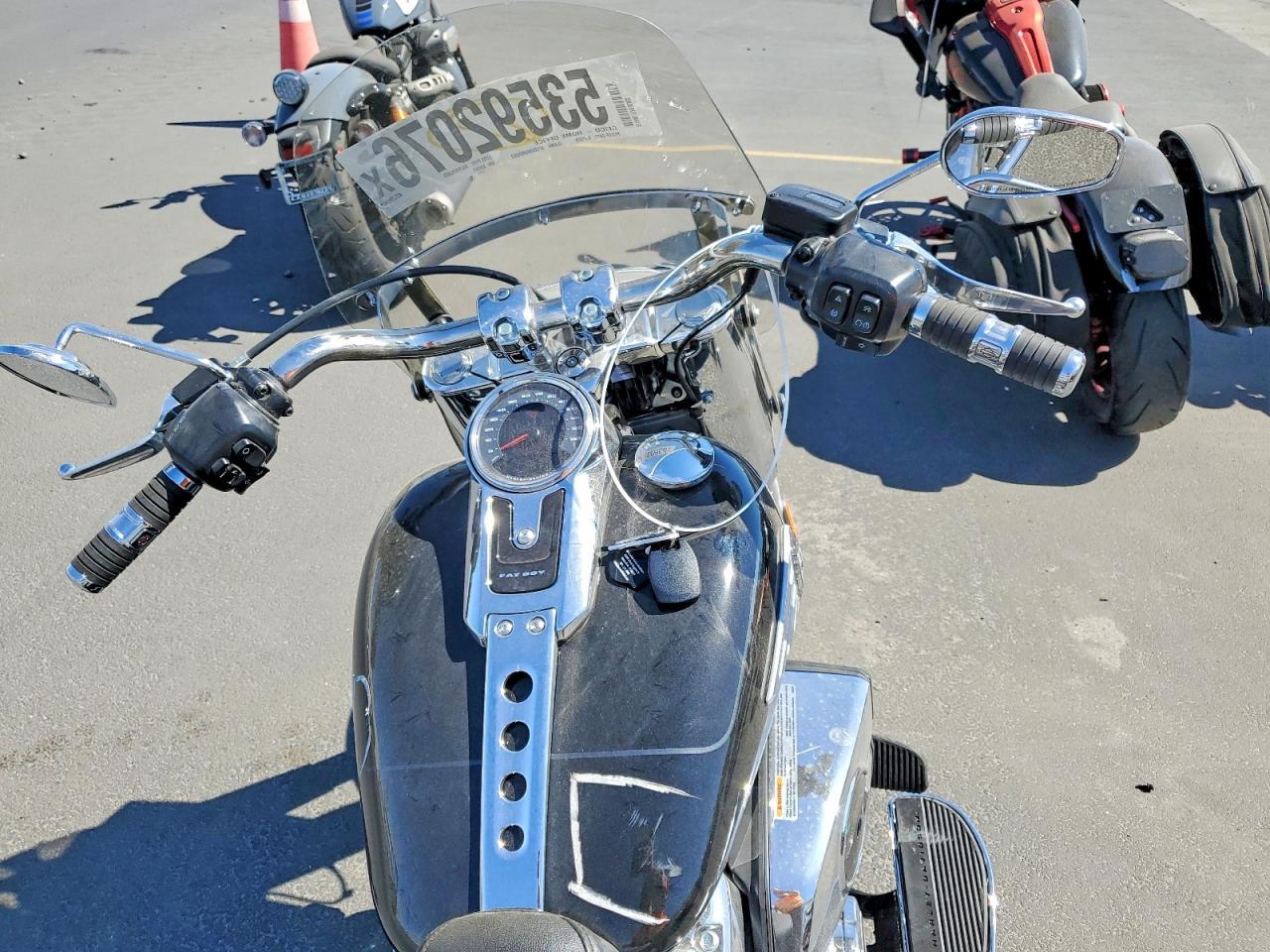 2025 Harley-Davidson Flfb - Фото 6