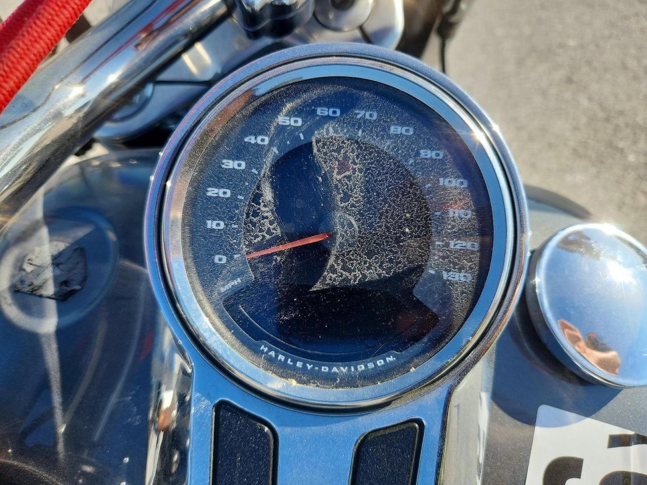 2021 Harley-Davidson Flfbs - Фото 7