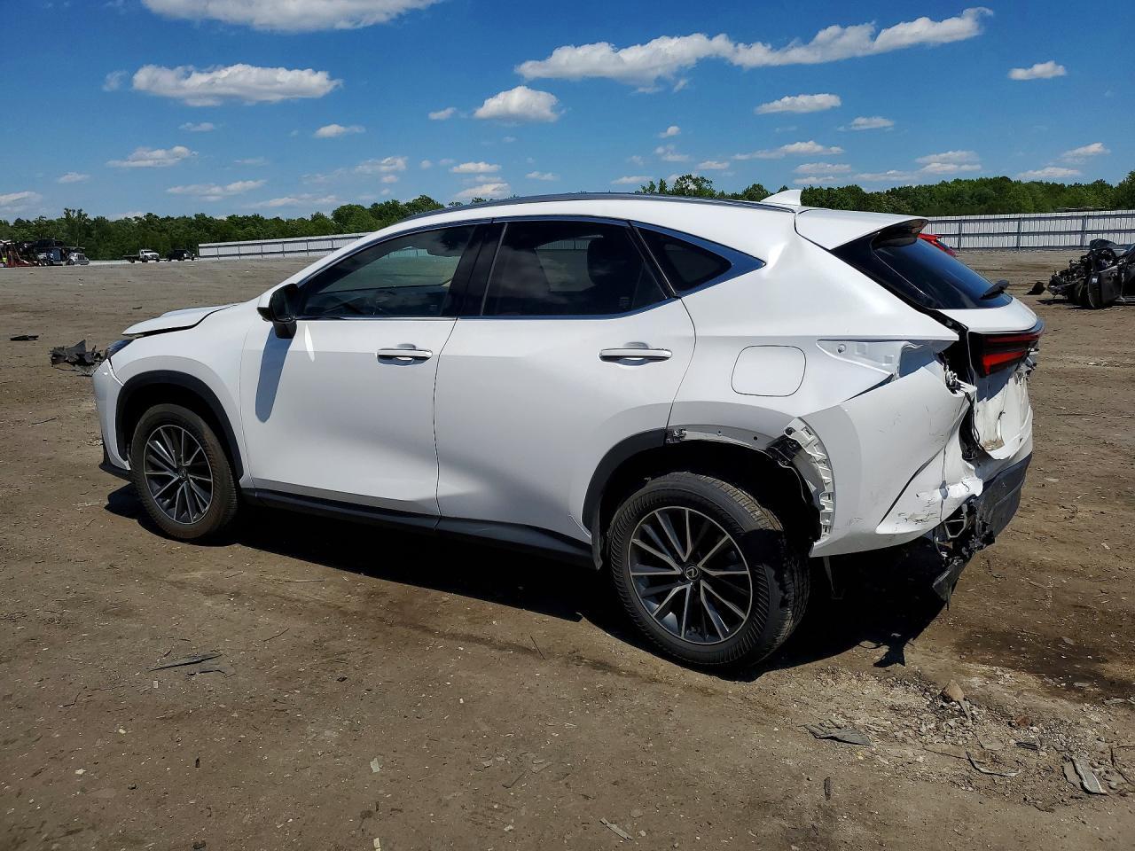 2024 Lexus Nx 350H Premium - Image 2