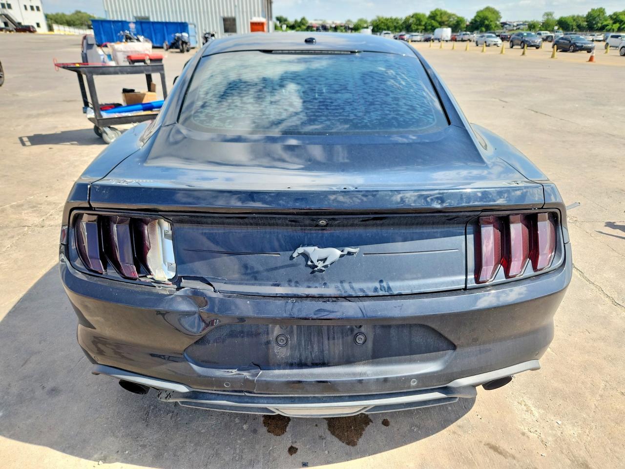 2019 Ford Mustang - Image 6