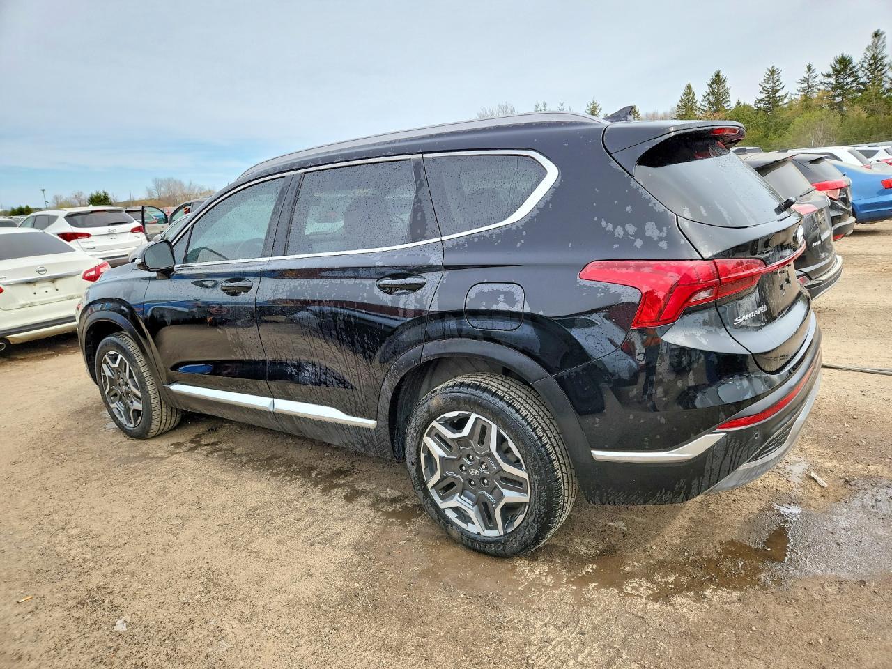 2022 Hyundai Santa Fe Sel Premium - Фото 2