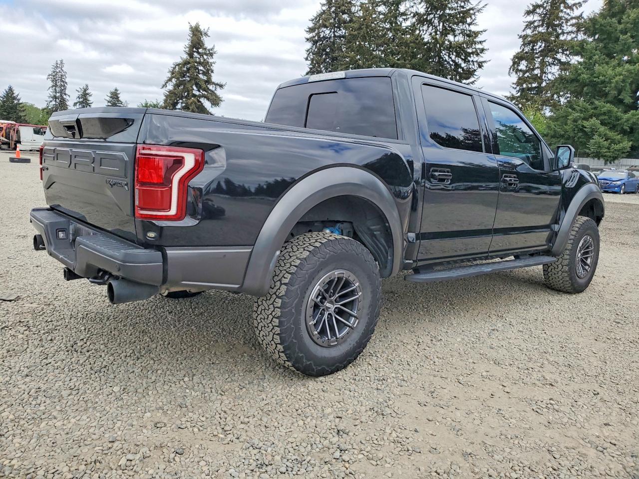 2018 Ford F150 Raptor - Image 3