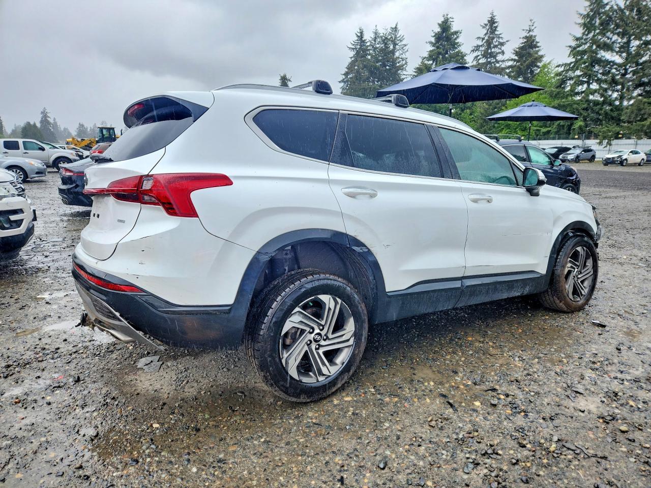2023 Hyundai Santa Fe Sel - Image 3