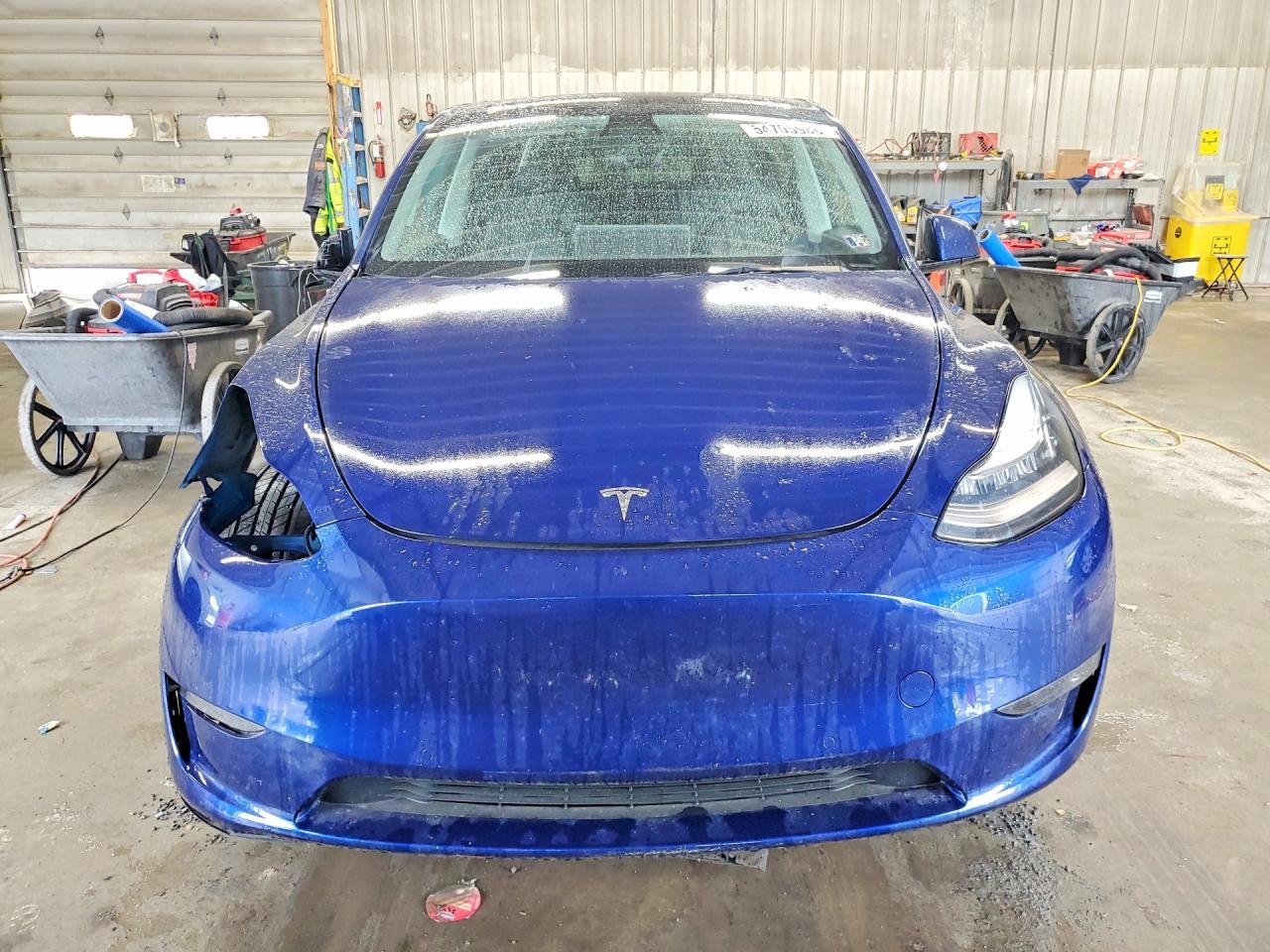 2021 Tesla Model Y - Фото 5