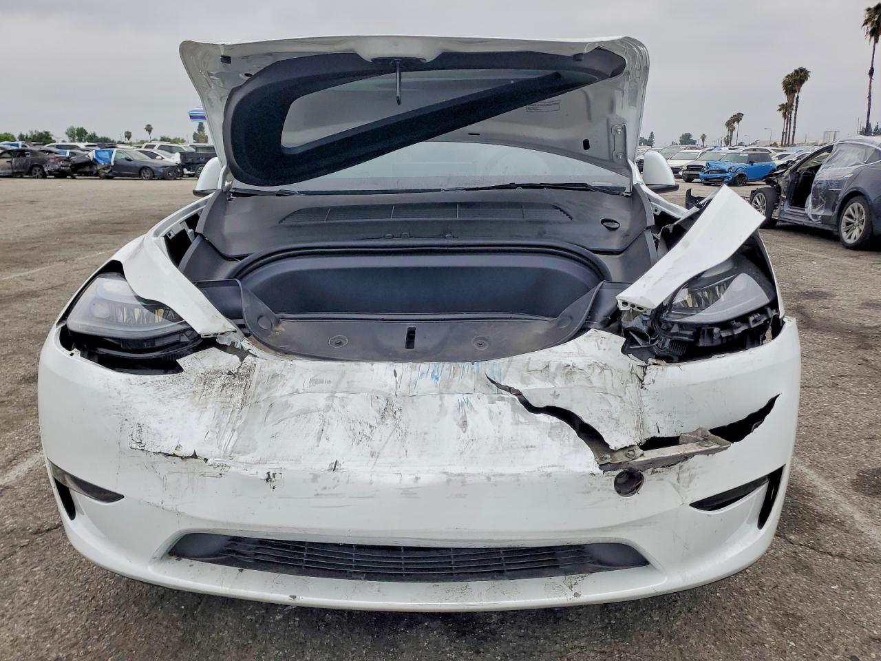 2024 Tesla Model Y - Image 5