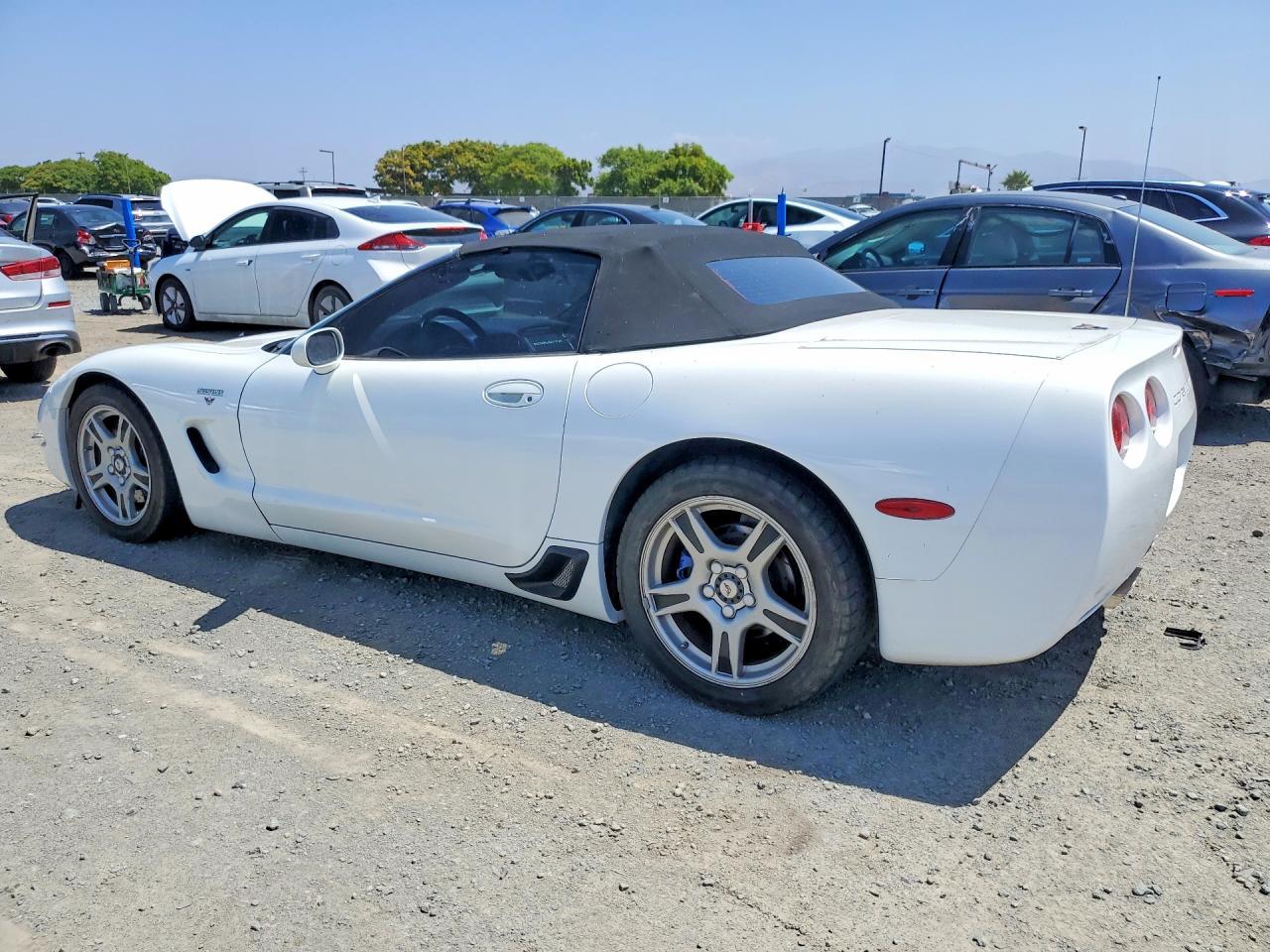 1999 Chevrolet Corvette - Image 2