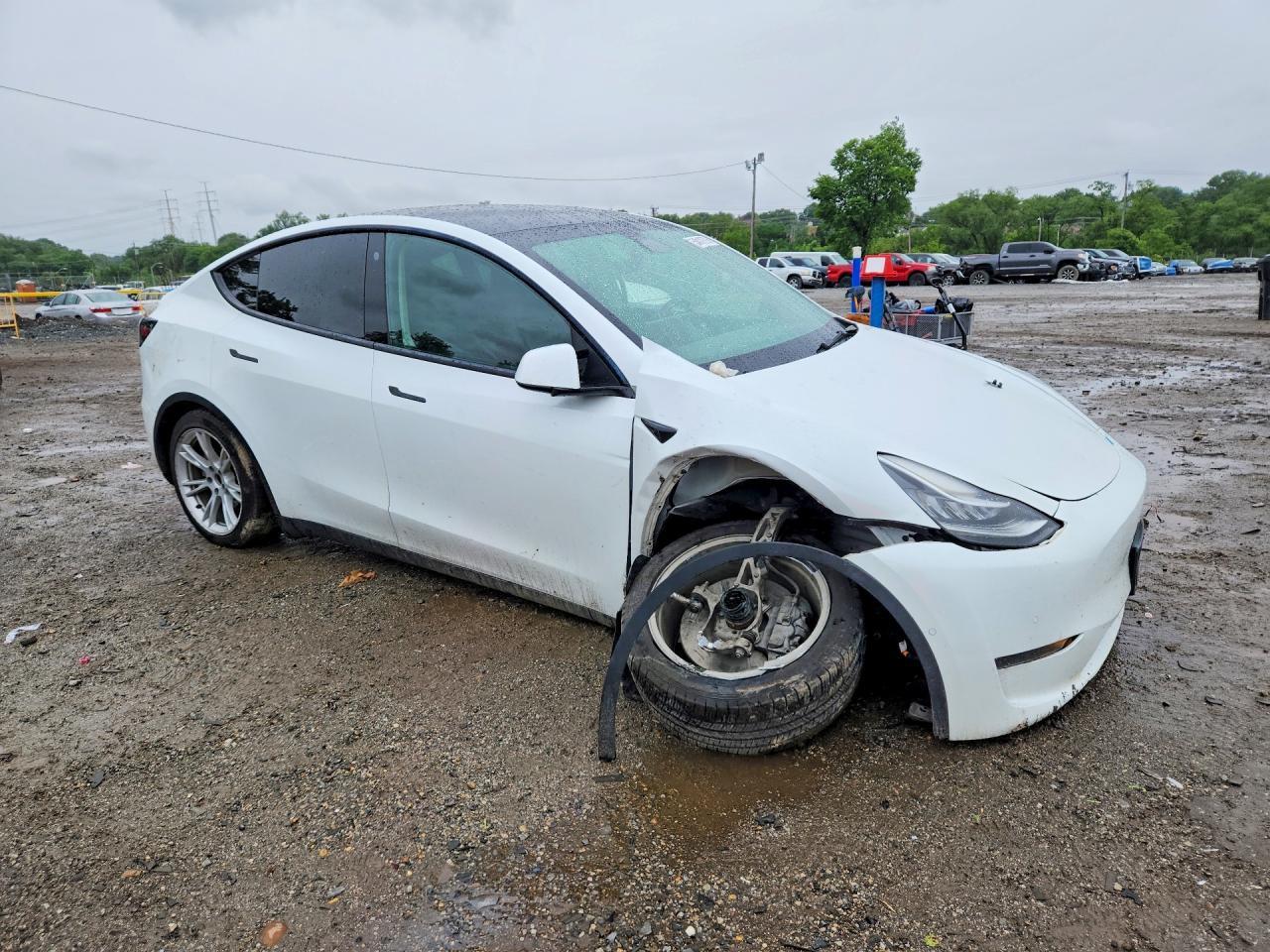 2022 Tesla Model Y - Фото 4